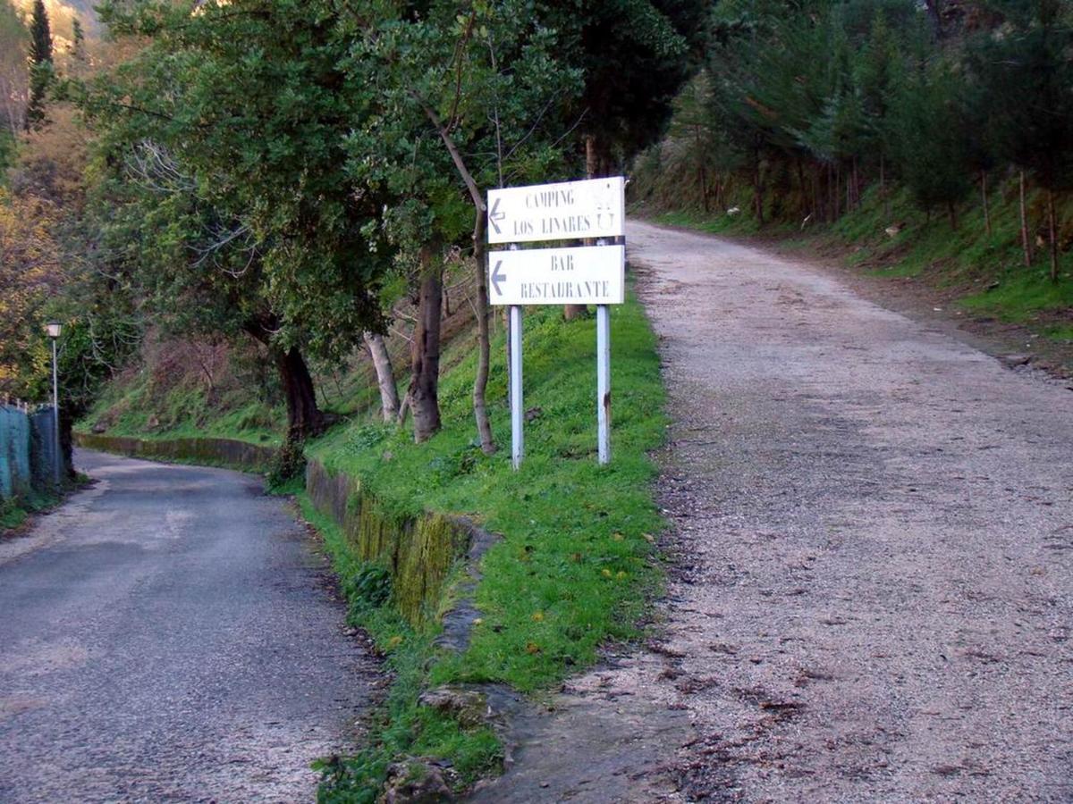 Appartamento Mi Casa En Benamahoma Esterno foto